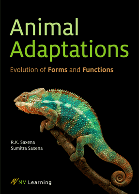 Animal Adaptations