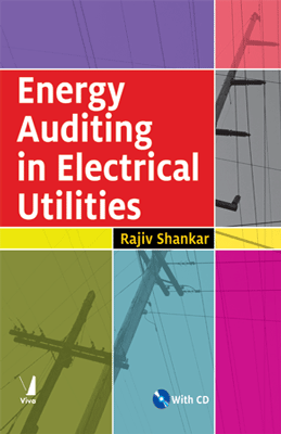 Energy Auditing in Electrical Utilities (with CD)