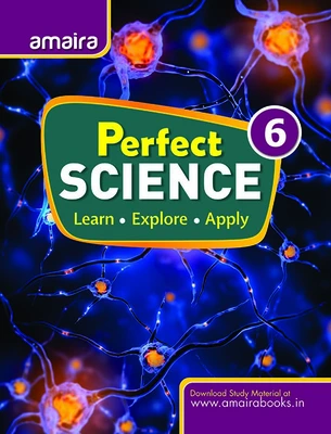 Perfect Science - 6